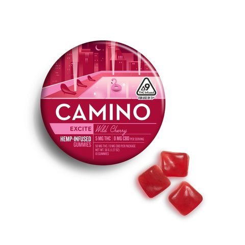 Camino "Sleep" Blueberry THC+CBN Gummies 50mg THC - Hemp House