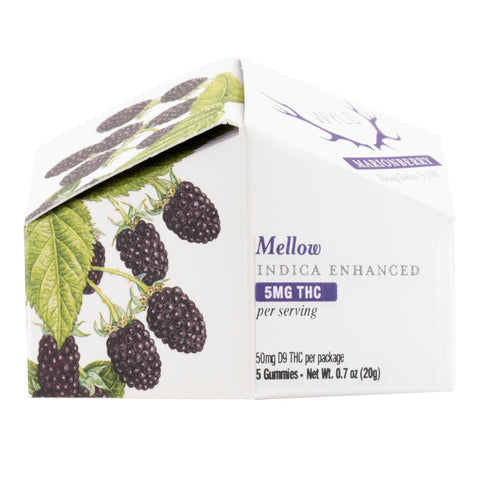 Huckleberry Hybrid Enhanced THC Gummies 50mg THC - Hemp House