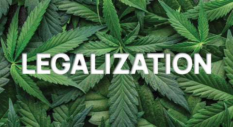 LEGALIZATION - Hemp House