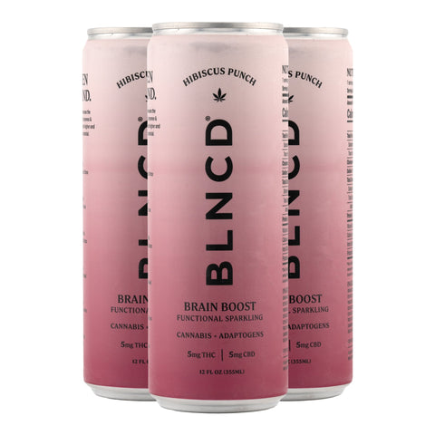 Hibiscus Punch Cannabis + Adaptogen Elixir 5mg THC - Hemp House