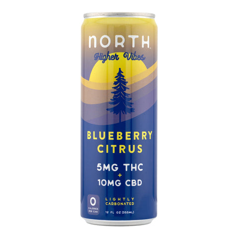 Higher Vibes Blueberry Citrus THC+CBD Sparkling Seltzer 5mg THC - Hemp House
