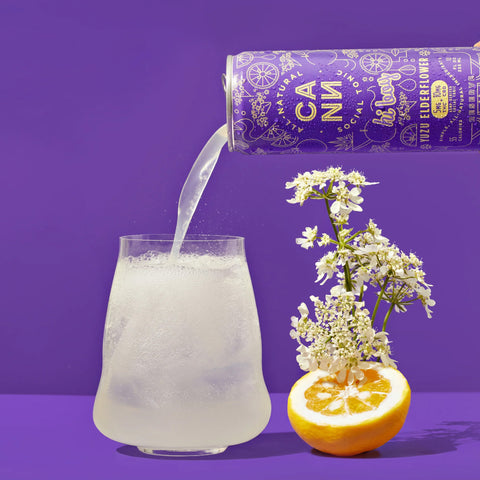 Hi Boy Yuzu Elderflower Social Tonic 5mg THC - Hemp House